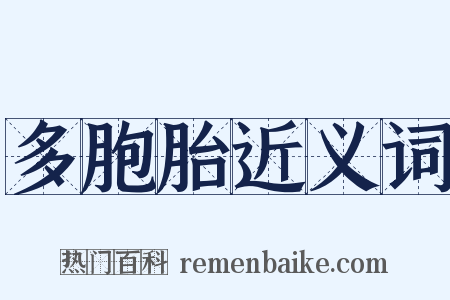 多胞胎近义词是什么意思的图片